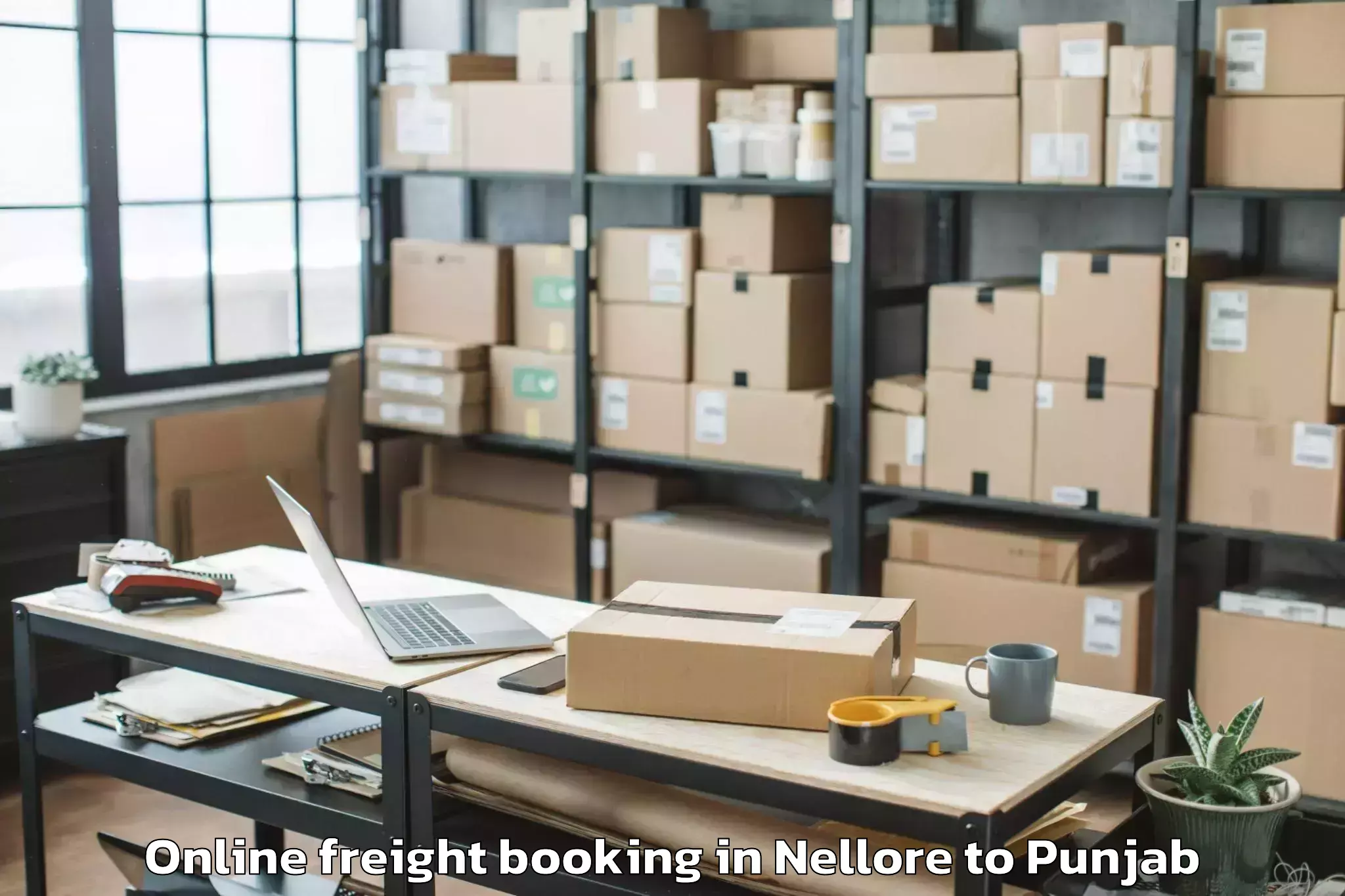 Trusted Nellore to Ropar Online Freight Booking